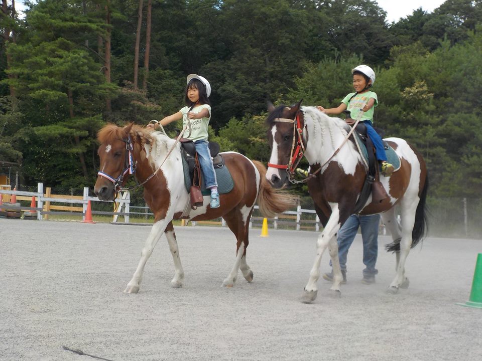 コース＆料金｜子ども専用乗馬クラブ｜Peppy's Horse Field（ペピーズ